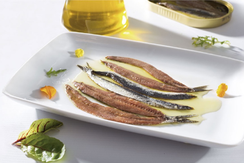 Anchois de Cantabrie, qu'est-ce que c'est 